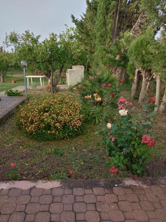Appartamento In Orosei In Villa Delle Arance 300Mt Dalla Spiaggia 外观 照片