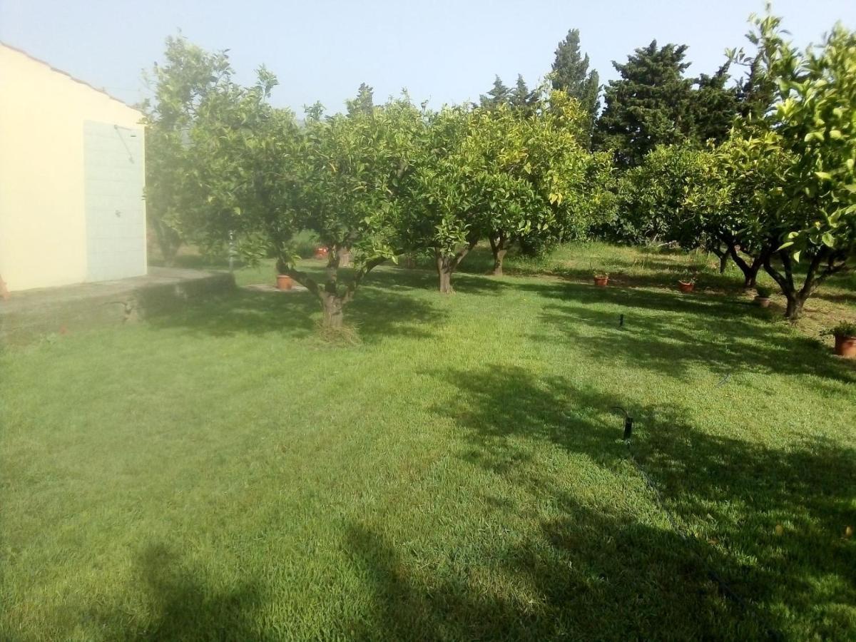 Appartamento In Orosei In Villa Delle Arance 300Mt Dalla Spiaggia 外观 照片