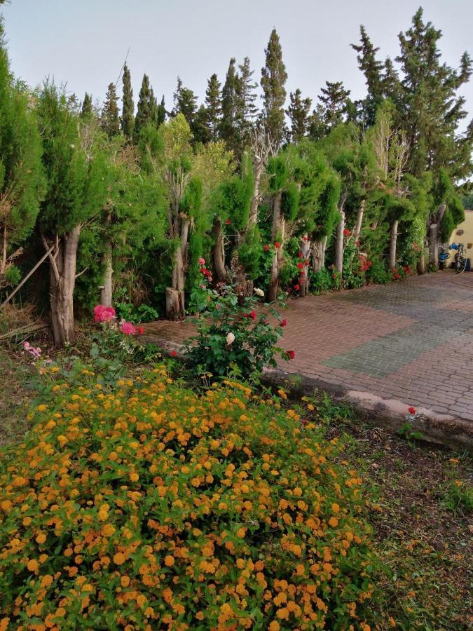 Appartamento In Orosei In Villa Delle Arance 300Mt Dalla Spiaggia 外观 照片