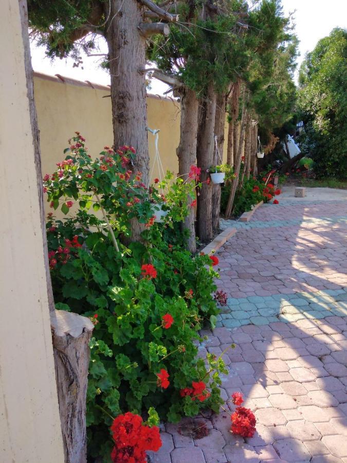 Appartamento In Orosei In Villa Delle Arance 300Mt Dalla Spiaggia 外观 照片