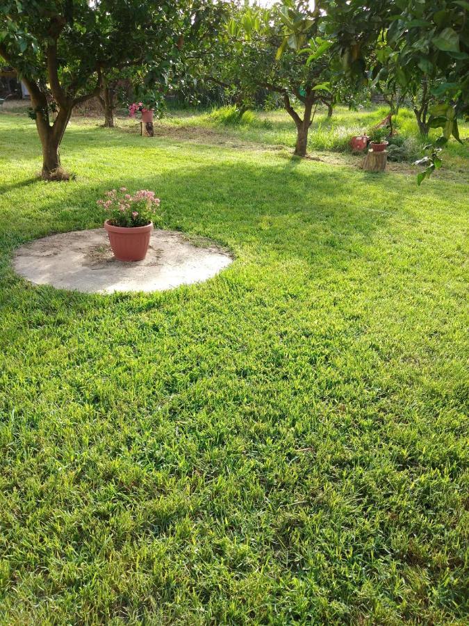 Appartamento In Orosei In Villa Delle Arance 300Mt Dalla Spiaggia 外观 照片